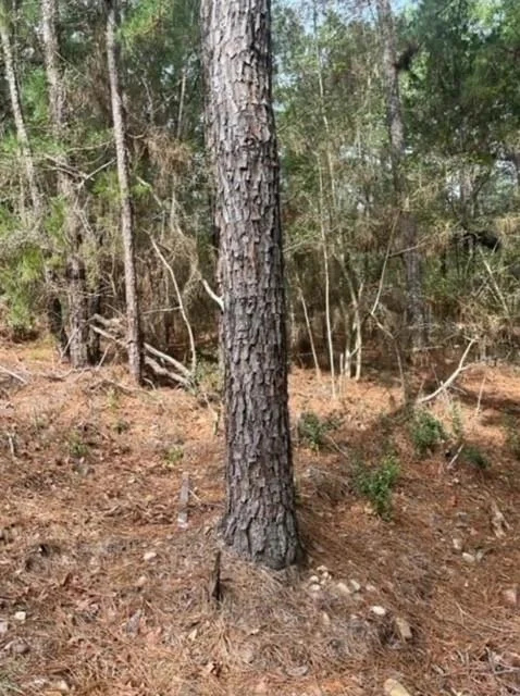 Unit for sale at Lot 345 Wainee DR, Bastrop, TX 78602