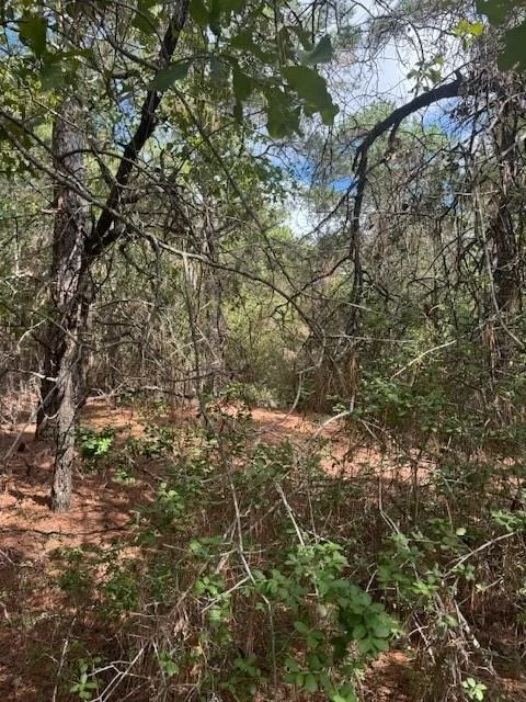 Unit for sale at 190 Molokini DR, Bastrop, TX 78602