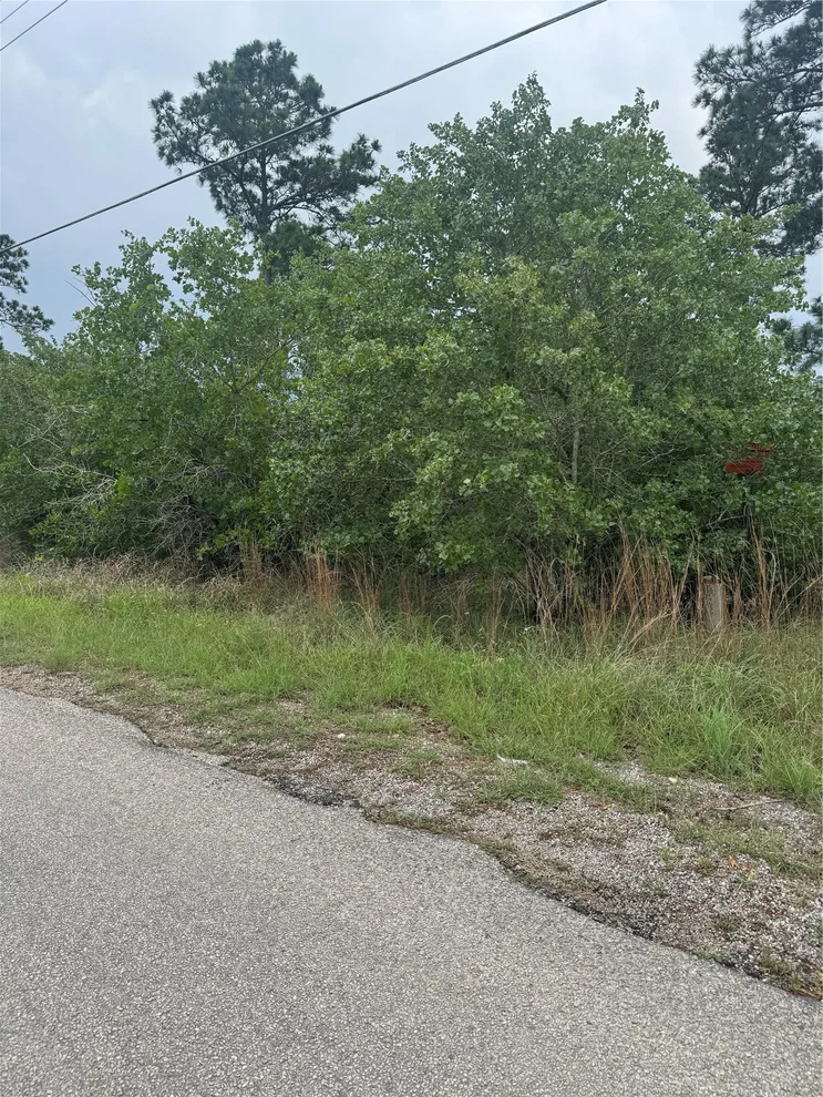 Unit for sale at Lot 1613 Kaanapali LN, Bastrop, TX 78602