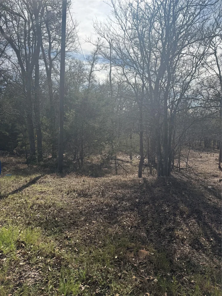 Unit for sale at 157 E KEANAHALULULU LN, Bastrop, TX 78602
