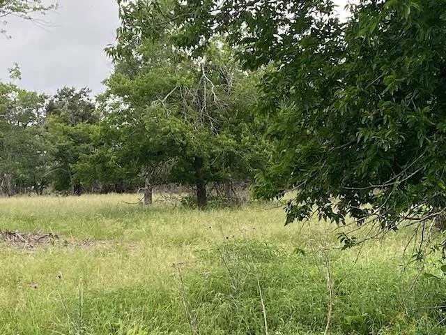 Photo of 2552 McGregor Lane, Dripping Springs, TX 78620