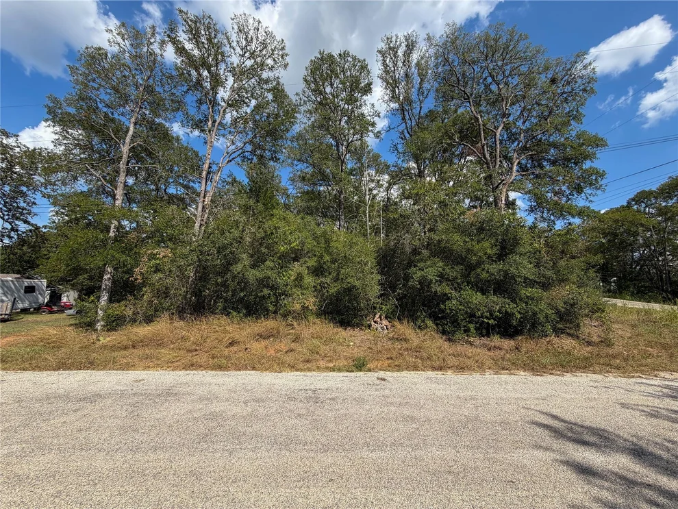 Unit for sale at 103 Nuupia CT, Bastrop, TX 78602