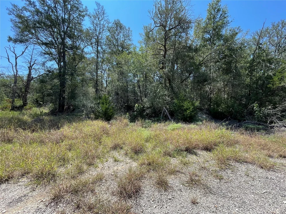 Unit for sale at Lot 1112 Kawanui DR, Bastrop, TX 78602