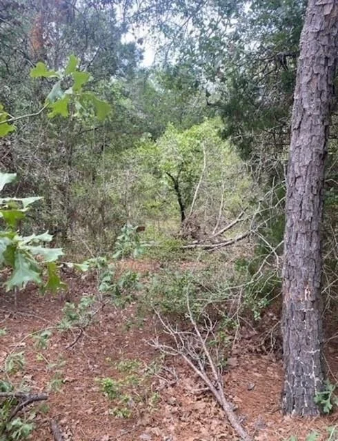 Unit for sale at 104 Mokuauia CT, Bastrop, TX 78602