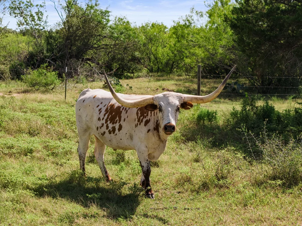 Unit for sale at 625 Callihan RD, Luling, TX 78648