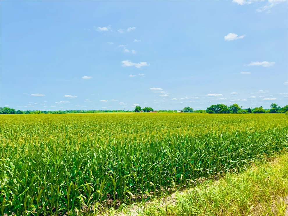 Unit for sale at TBD2 CR 406, Buckholts, TX 76518