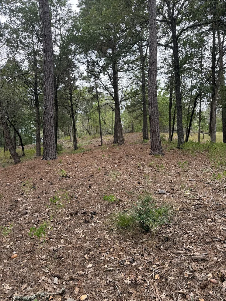 Unit for sale at Lot 290 Aka CT, Bastrop, TX 78602