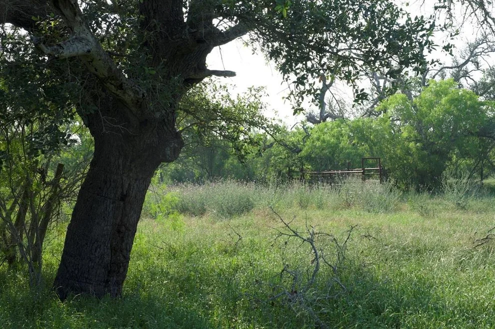 Unit for sale at TBD Taylorsville Road RD, Red Rock, TX 78662