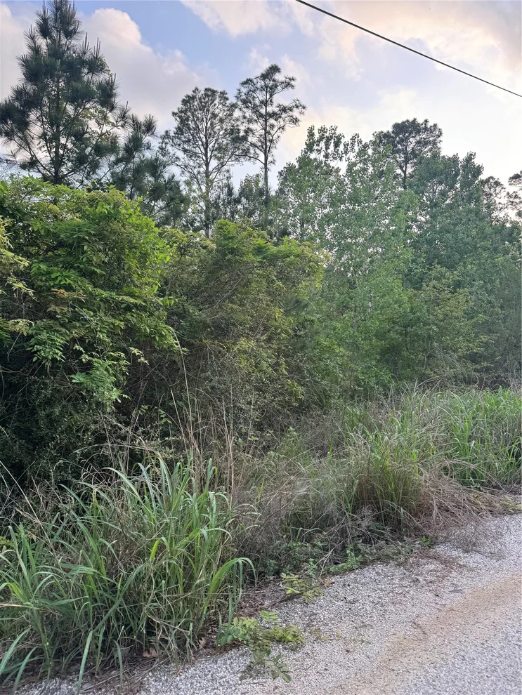 Unit for sale at Lot 1386 N Pahihi DR, Bastrop, TX 78602
