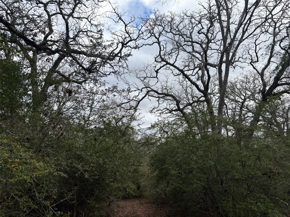 Unit for sale at TBD Private Road 3591, Gause, TX 77857
