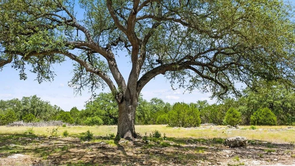 Unit for sale at Tract 5 Cypress Cove RD, Spring Branch, TX 78070