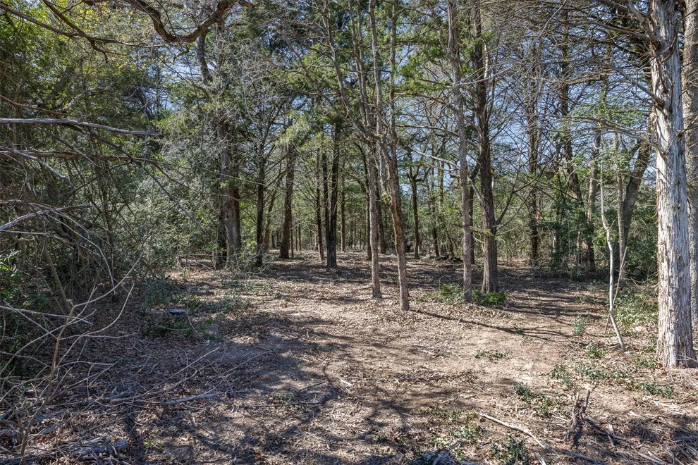 Unit for sale at 4.81 AC Pauline LN, Caldwell, TX 77836