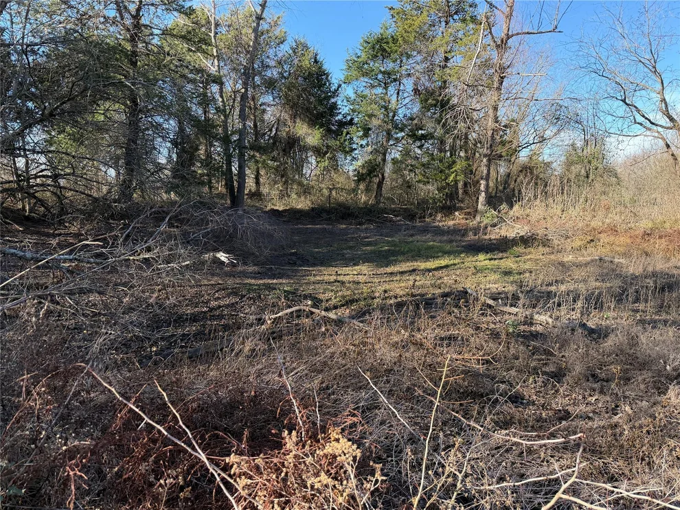 Unit for sale at TBD County Road 925 Tract 17 RD, Teague, TX 76667