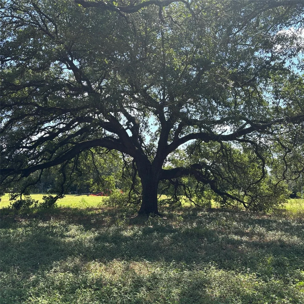 Unit for sale at 2477 State Highway 159, La Grange, TX 78945