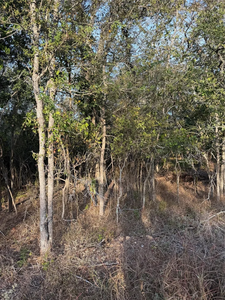 Unit for sale at 172 Helemano DR, Bastrop, TX 78602