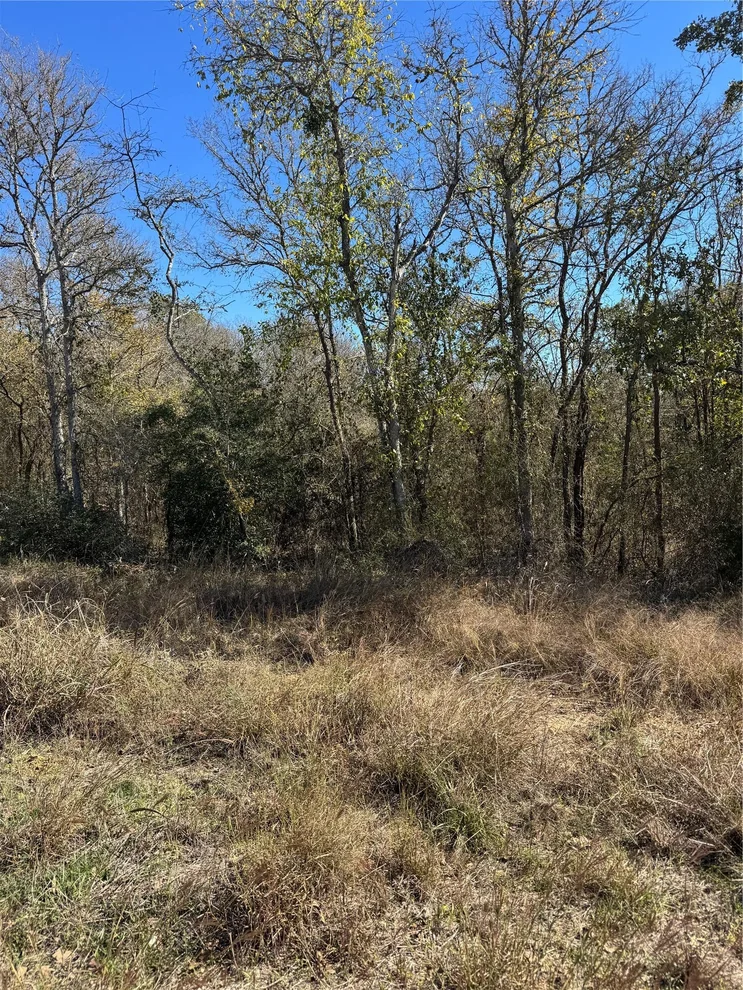 Unit for sale at Lot 1013 Diamond Head DR, Bastrop, TX 78602