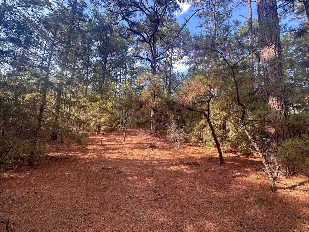 Unit for sale at Lot 85 Hill Ridge DR, Bastrop, TX 78602