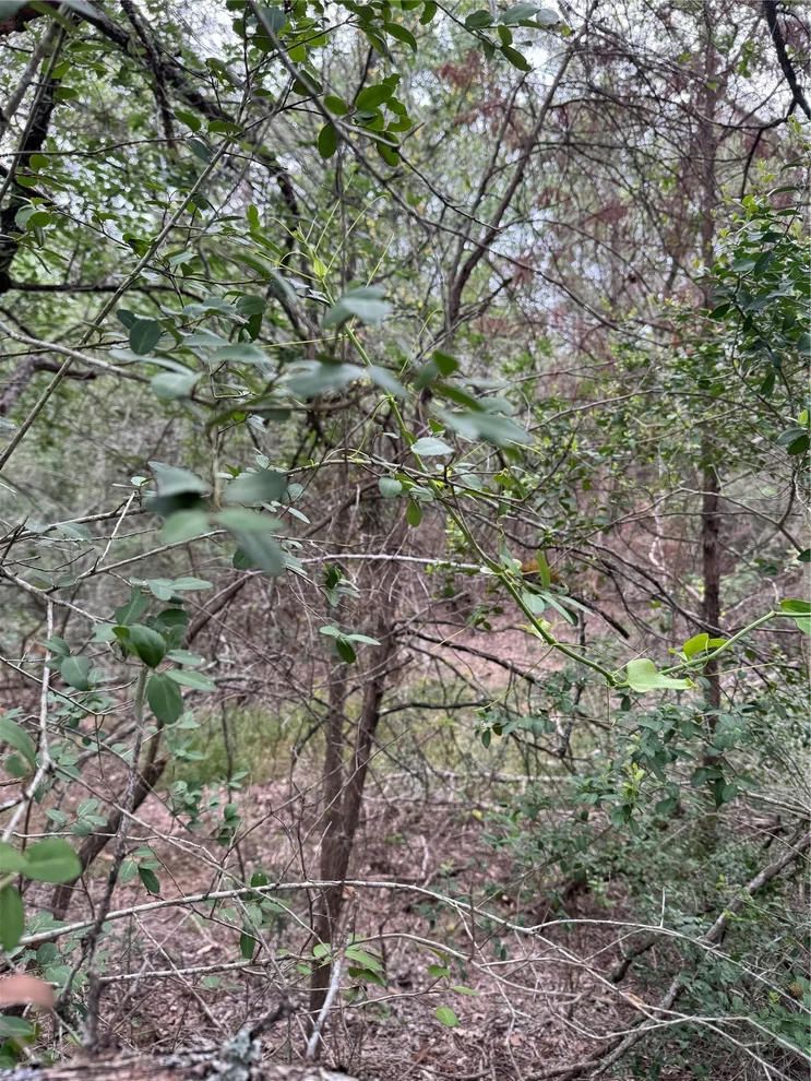 Unit for sale at Lot 1034 Kawanui DR, Bastrop, TX 78602