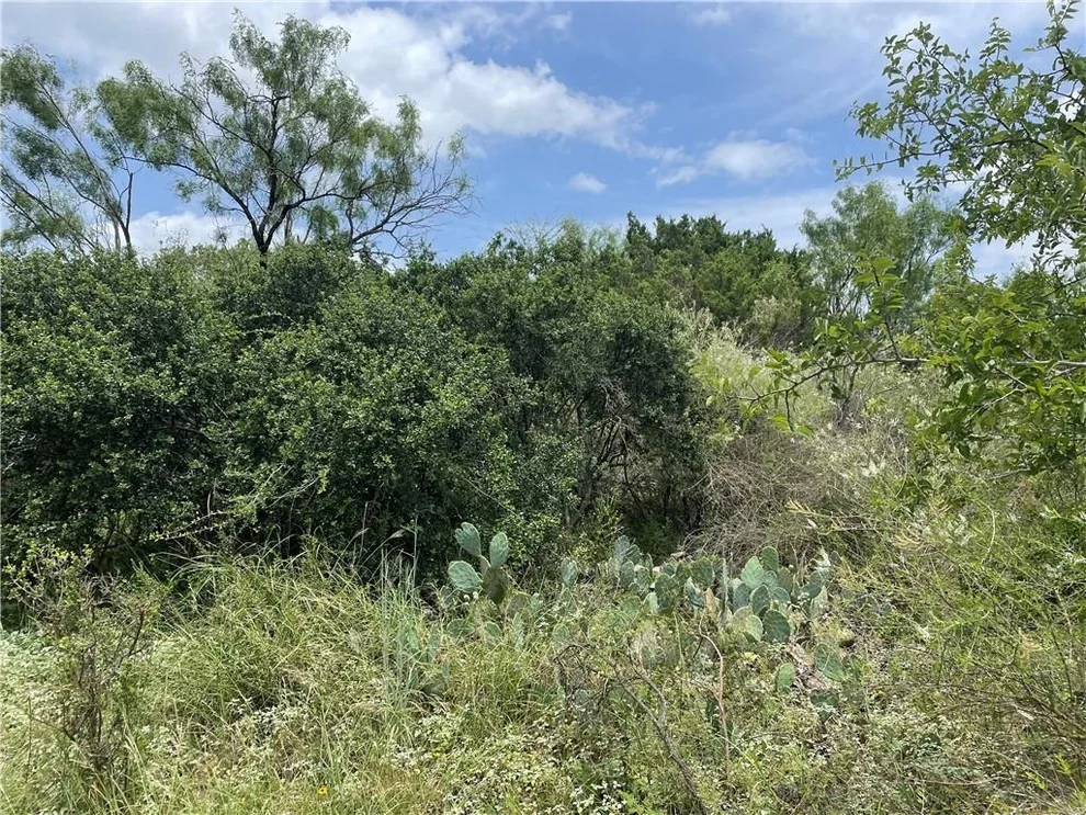Unit for sale at Lots 112-113 Cedar HL, Granite Shoals, TX 78654