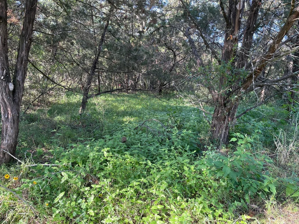 Unit for sale at Lot 423 Indian Summer, Spicewood, TX 78669