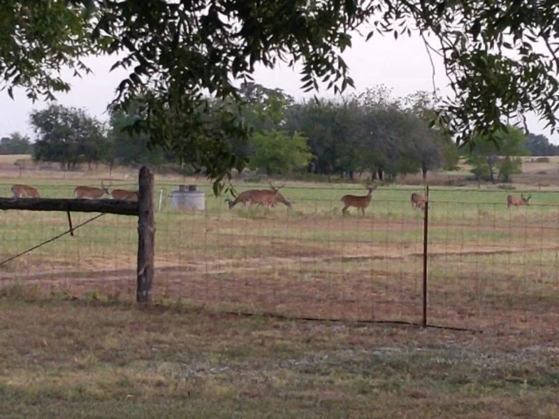 Unit for sale at 10905 S. FM 1915 FM 1915 Highway, Buckholts, TX 76518