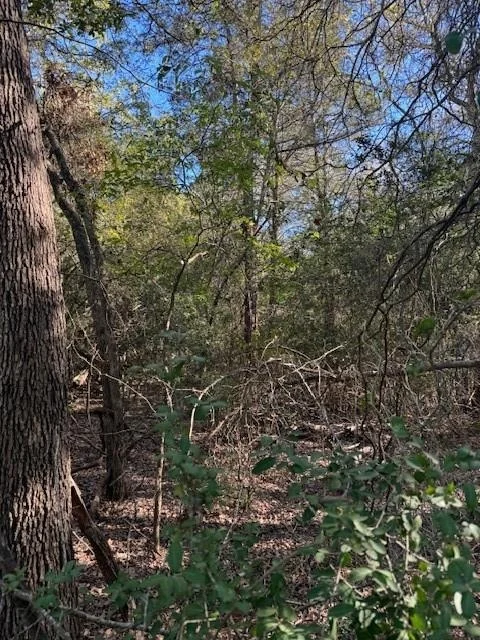 Unit for sale at 125 Helemano DR, Bastrop, TX 78602
