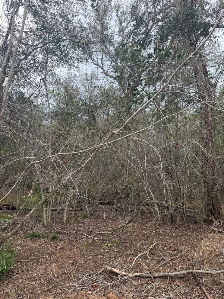 Unit for sale at Lots 565 and 566 Mokulua LN, Bastrop, TX 78602