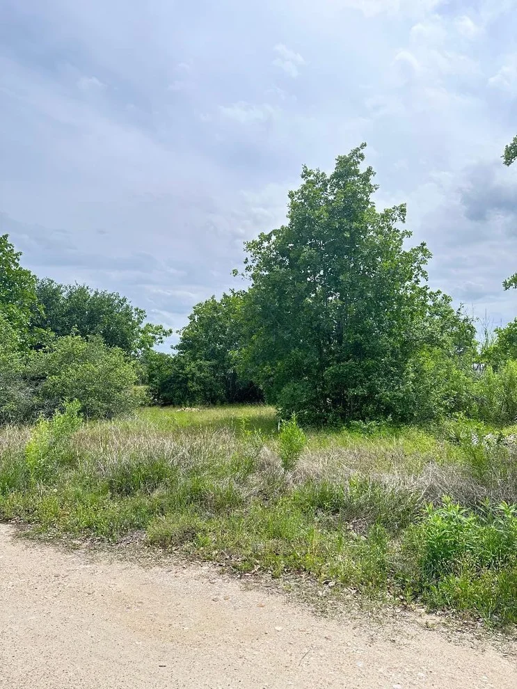 Unit for sale at 138 Wild Bird LOOP, Smithville, TX 78957