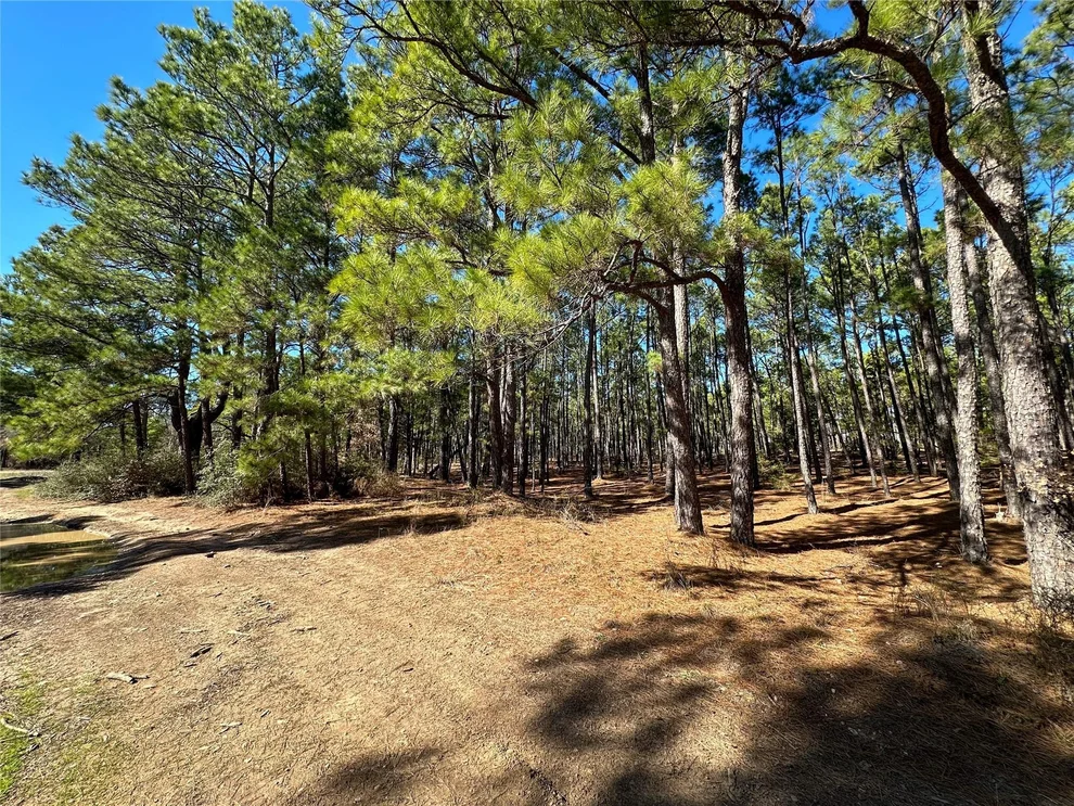 Unit for sale at Lot 12 Hickory Ridge DR, Bastrop, TX 78602