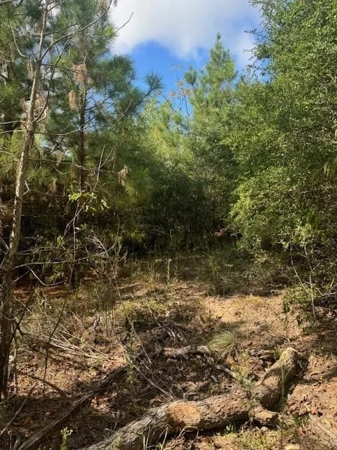 Unit for sale at Lot 1339 Tahitian DR, Bastrop, TX 78602