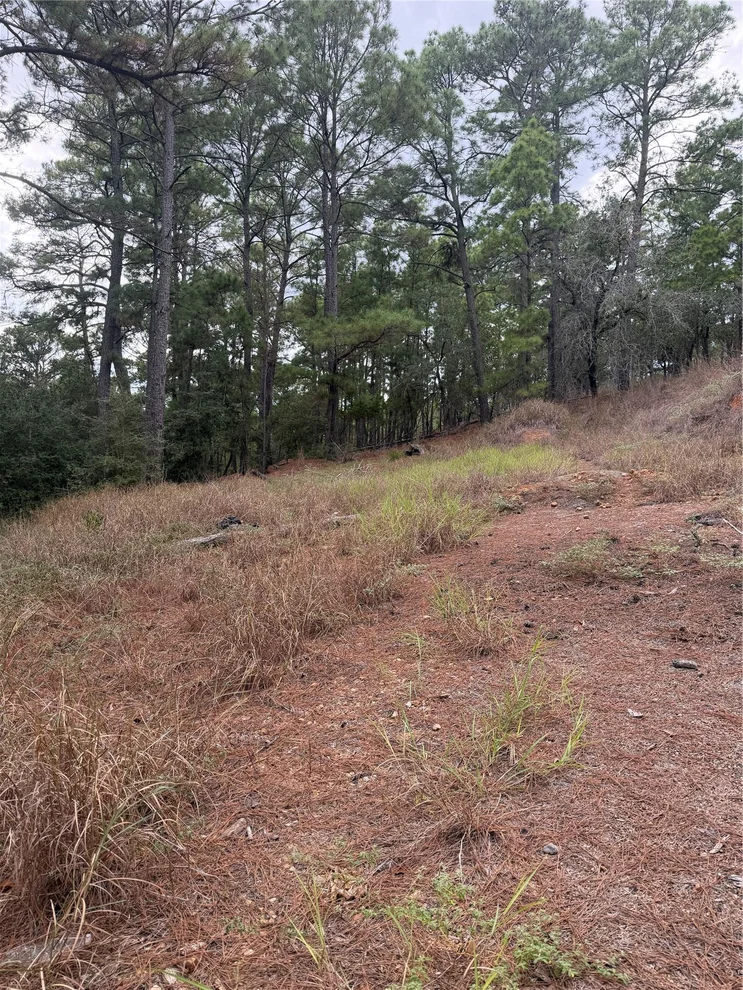 Unit for sale at Lot 69 and 70 Taro CT, Bastrop, TX 78602