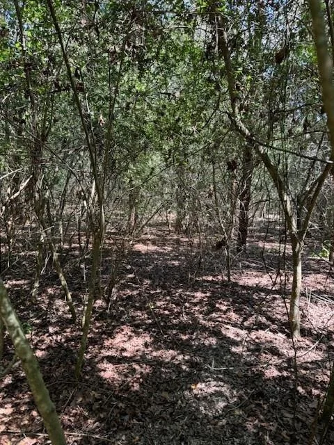 Unit for sale at 129 Helemano DR, Bastrop, TX 78602