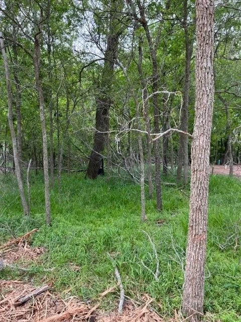Unit for sale at 225 Kahana LN, Bastrop, TX 78602