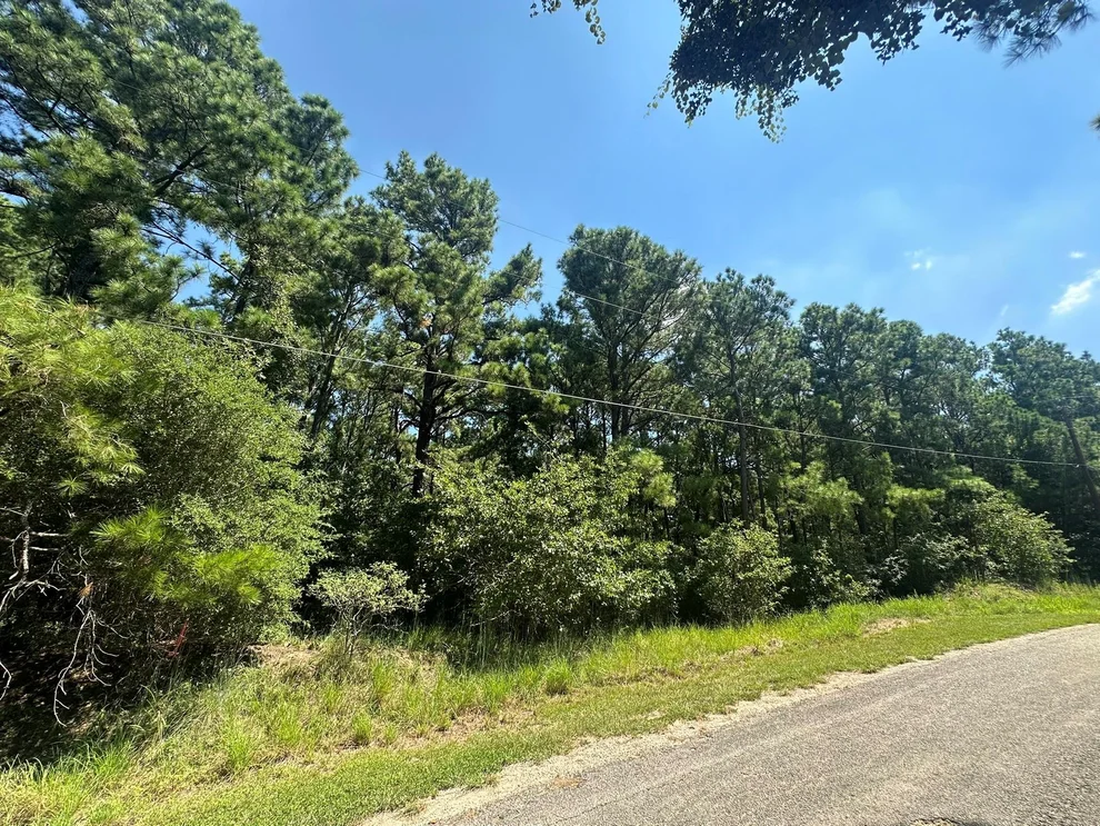 Unit for sale at LOT 46 Kamakoa LN, Bastrop, TX 78602
