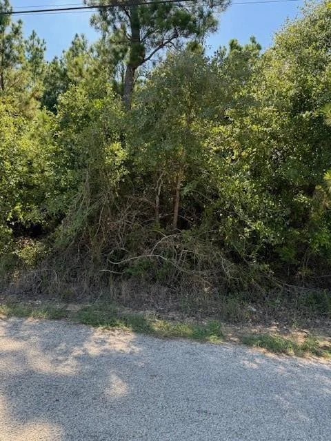 Unit for sale at Lot 1355 N Kaupo DR, Bastrop, TX 78602