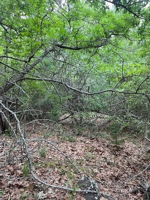 Unit for sale at Lot 1603 Ulupau CIR, Bastrop, TX 78602