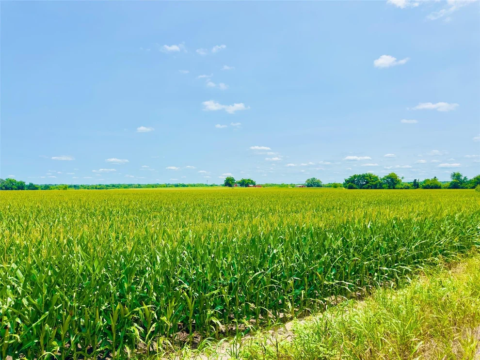 Unit for sale at TBD2 CR 406, Buckholts, TX 76518