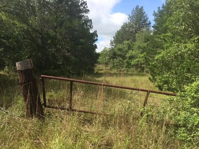 Unit for sale at tbd Cummins Creek RD, New Ulm, TX 78950