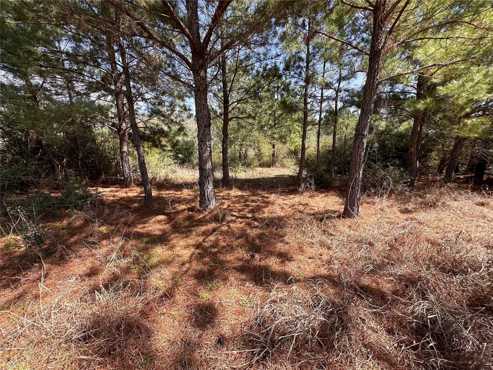 Unit for sale at TBD Hula LN, Bastrop, TX 78602
