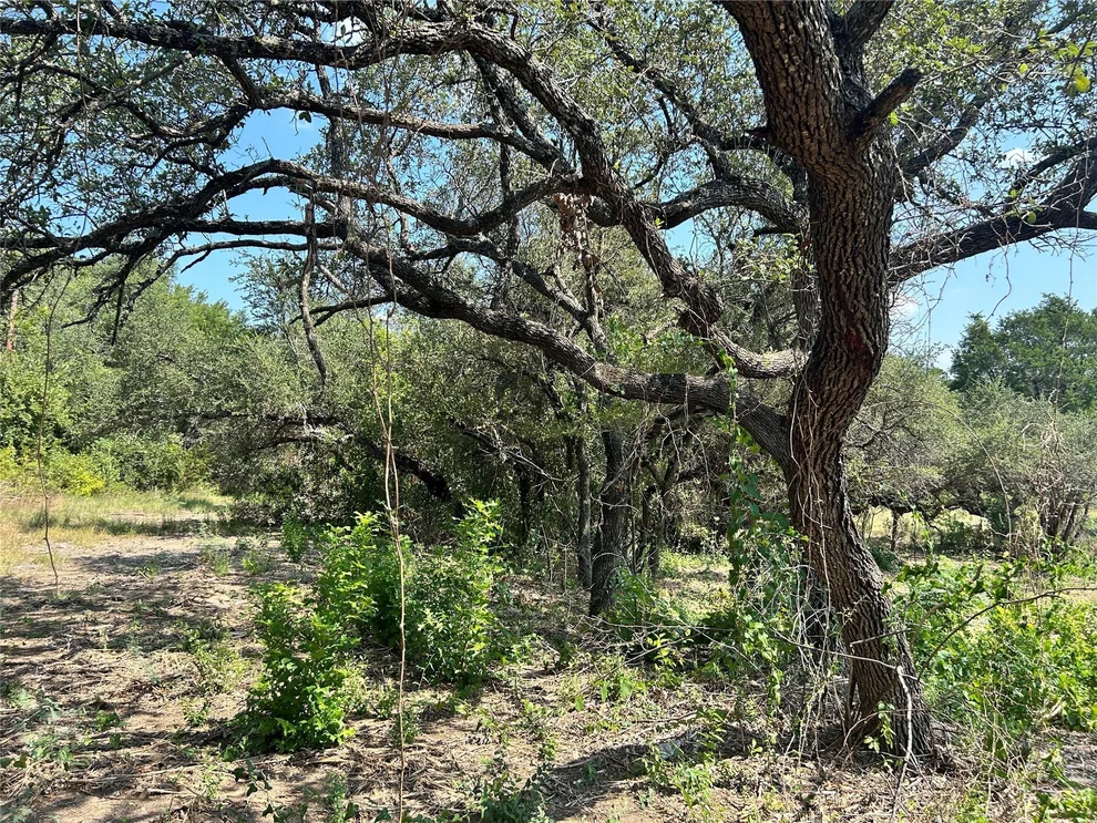 Unit for sale at 18310 Austin DR, Jonestown, TX 78645