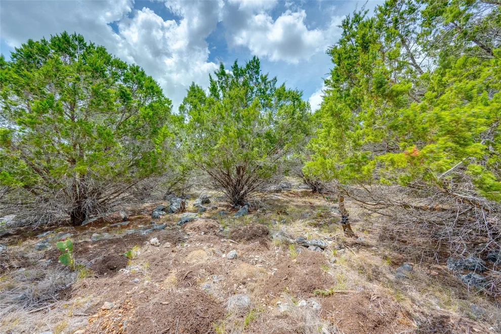 Unit for sale at 328 Valley LDG, New Braunfels, TX 78132
