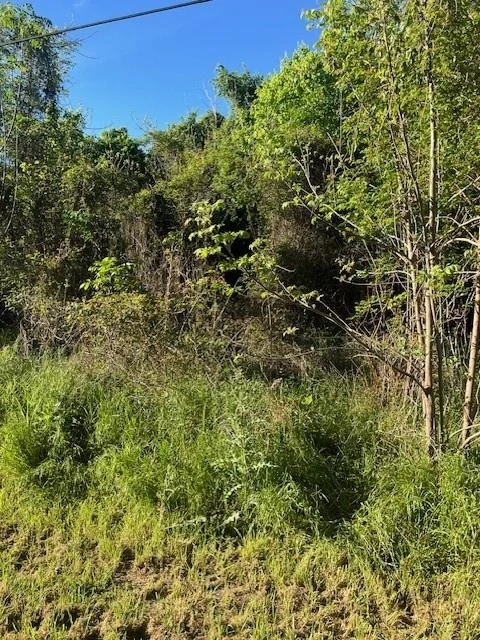 Unit for sale at 171 Kahana LN, Bastrop, TX 78602