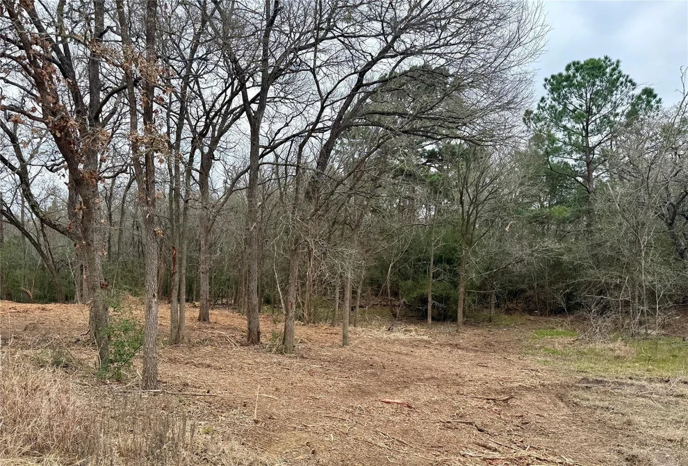 Unit for sale at Lot 8 and 9 Meadow Creek DR, Bastrop, TX 78602