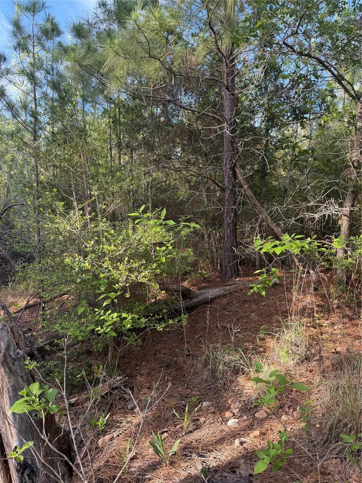 Unit for sale at Lot 1384 Pahihi DR, Bastrop, TX 78602