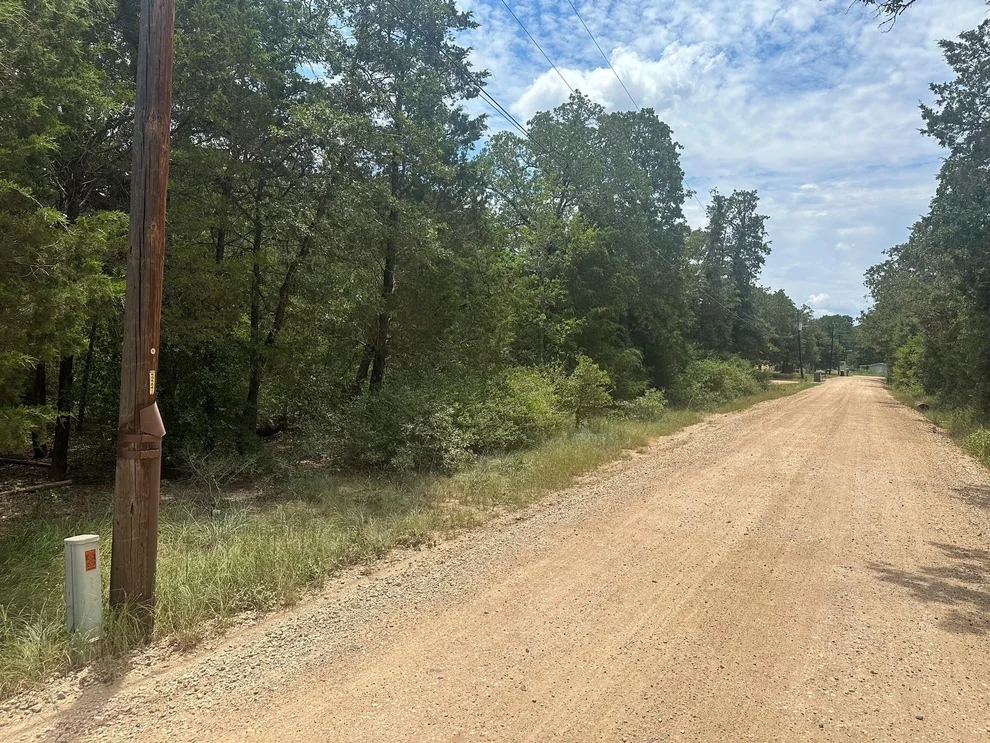 Unit for sale at 246 Arrowhead DR, Smithville, TX 78957