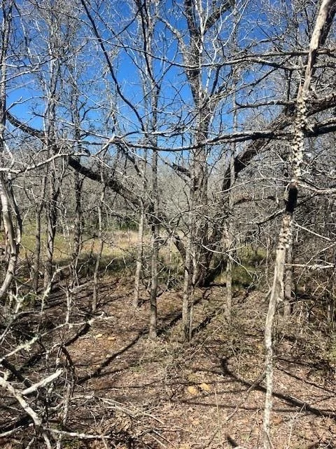 Unit for sale at 140 Heleakala DR, Bastrop, TX 78602