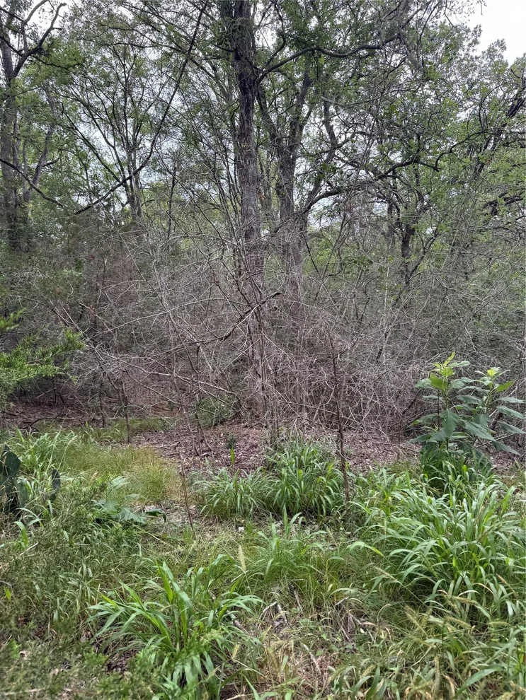 Unit for sale at Lot 1035 Kawanui DR, Bastrop, TX 78602