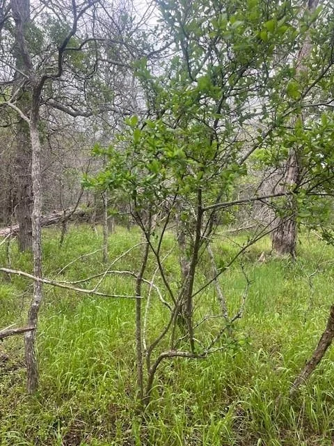 Unit for sale at Lot 628 Hilea CT, Bastrop, TX 78602
