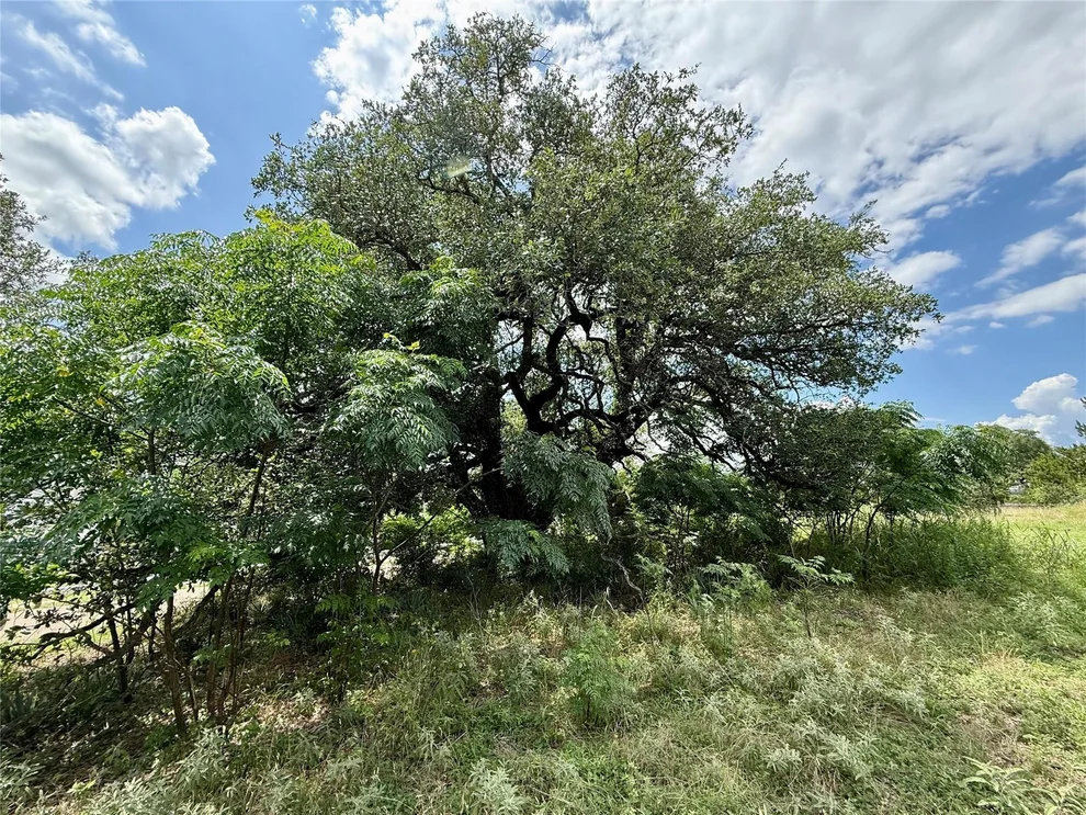Unit for sale at 731 Santa Maria RD, Salado, TX 76571