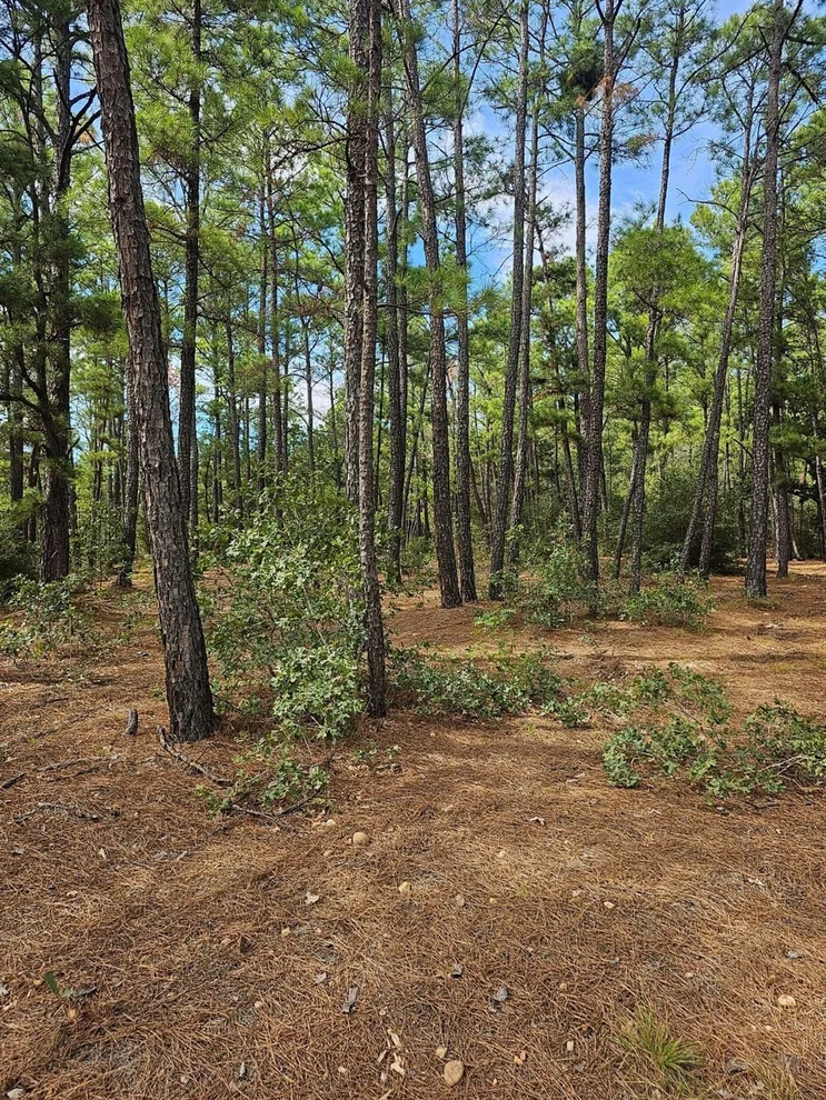 Unit for sale at 00 Winding Pine DR, Bastrop, TX 78602